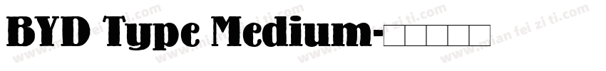 BYD Type Medium字体转换